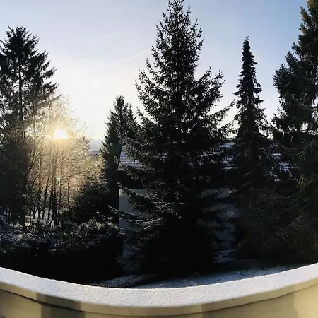 Harzchalet Emma * Braunlage