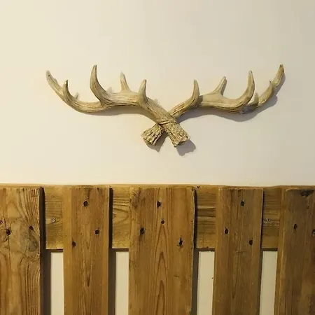 Harzchalet Emma Lejlighed