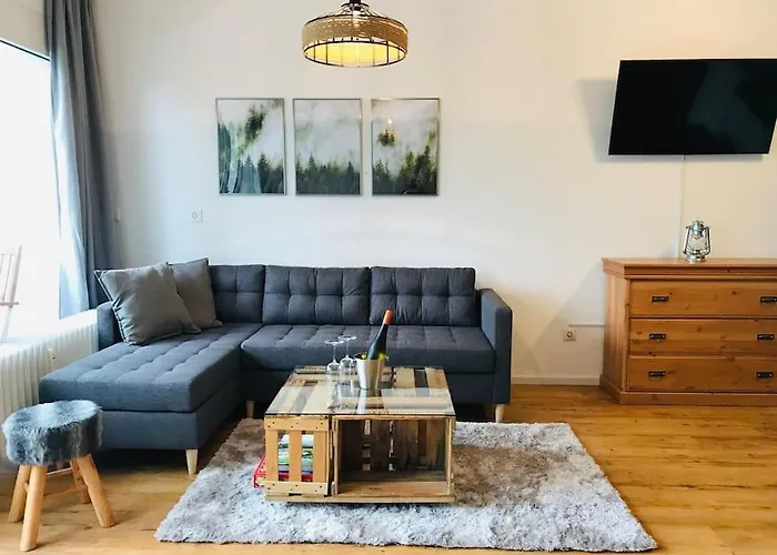 Daire Harzchalet Emma Braunlage