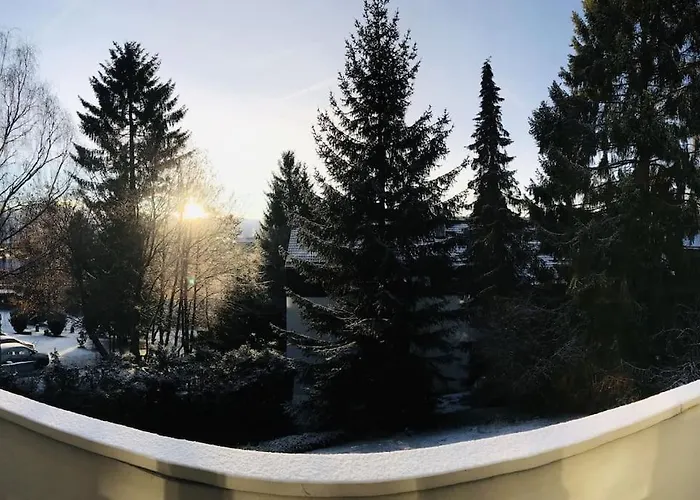 Harzchalet Emma * Braunlage