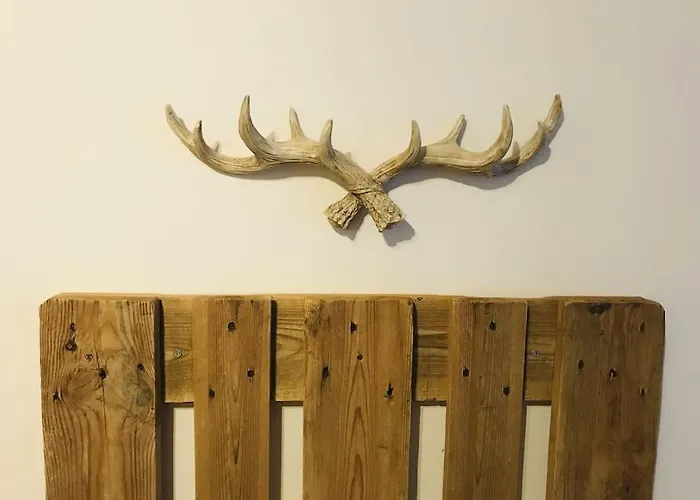 Harzchalet Emma Daire